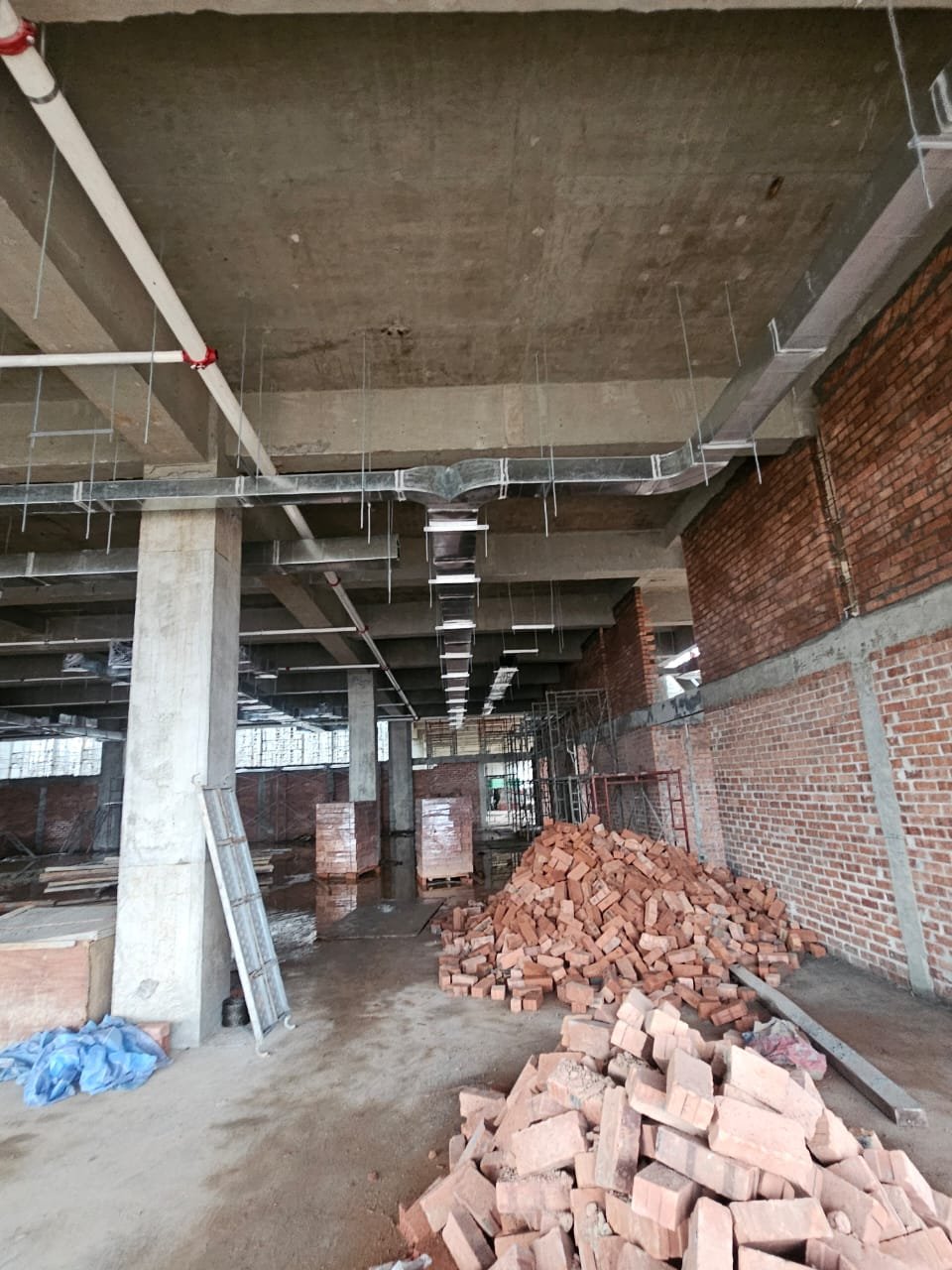 WhatsApp Image 2024-09-10 at 22.06.55